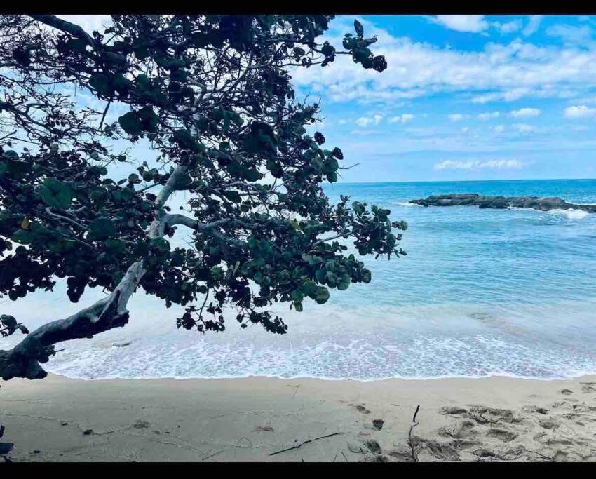 Natty'S Cozy Beach House In Hanover Jamaica Lucea Exterior foto
